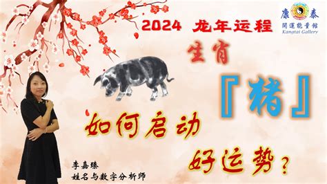 2024年生肖猪